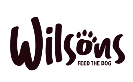 Wilsons logo - JudeLuxe ecommerce Google Ads client